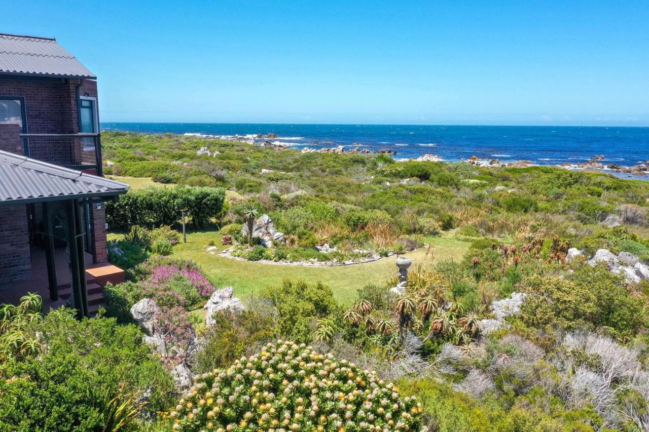 The Amaryllis Luxury Apartment Bella Donna Bettyʼs Bay Exteriér fotografie